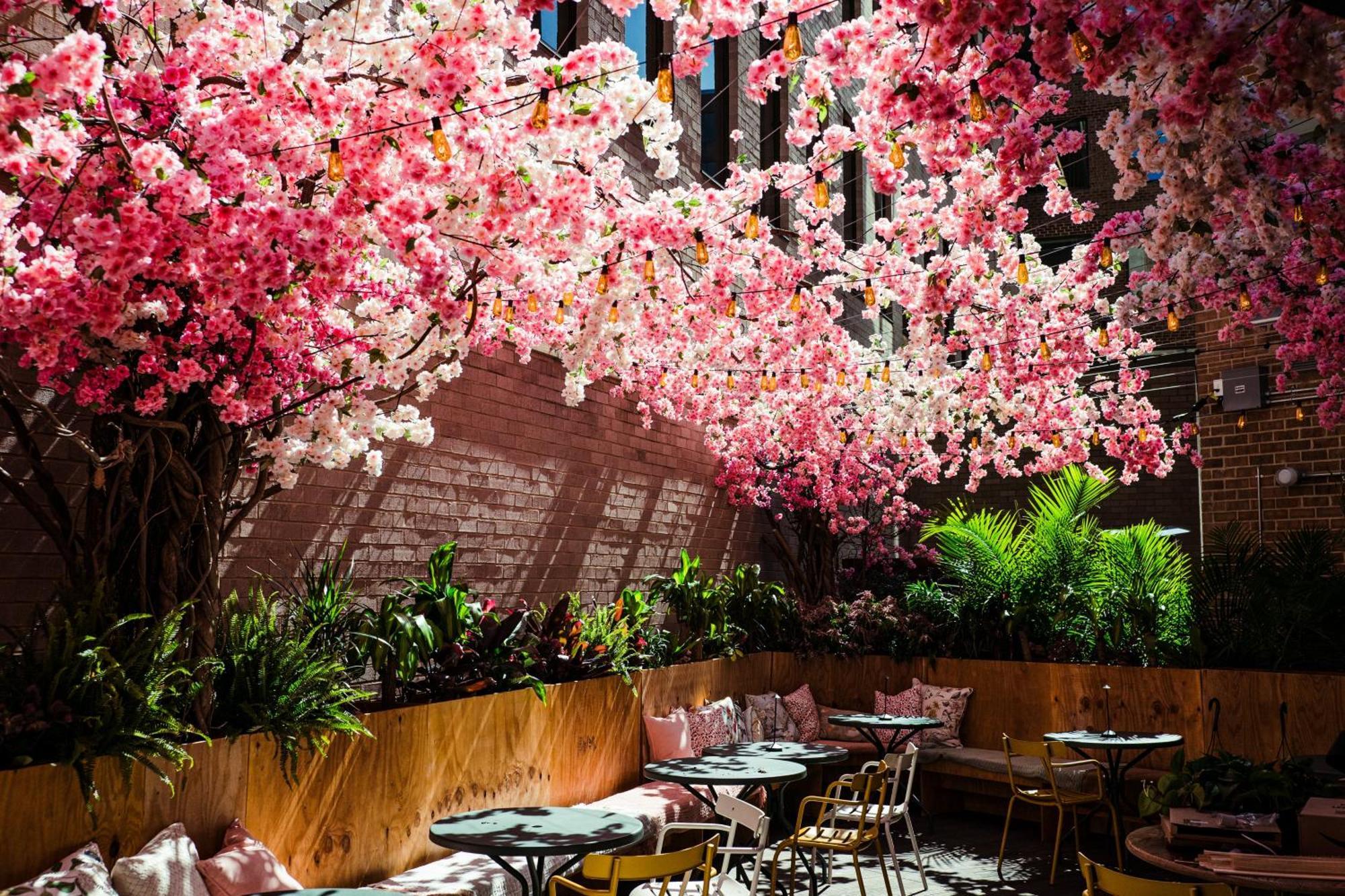 Vignette Collection Yours Truly Dc By Ihg Washington Bagian luar foto The Sakura Bar