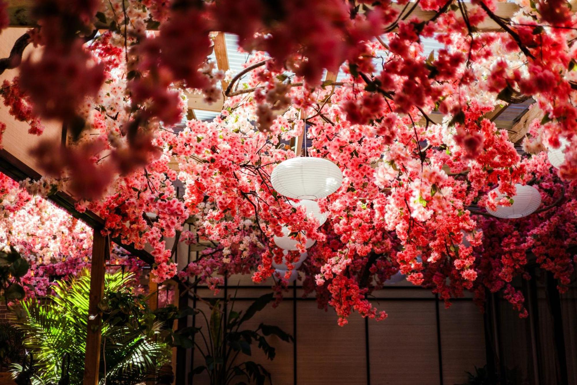 Vignette Collection Yours Truly Dc By Ihg Washington Bagian luar foto Cherry blossoms at the Tokyo Metropolitan Government Building